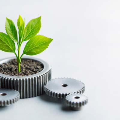 Sustainability & Green Innovation