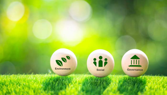 Social Sustainability Strategies