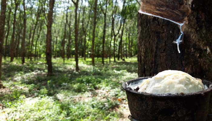 Key Benefits of CQI-30