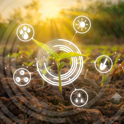 Why is Ecolabel Certification Important?