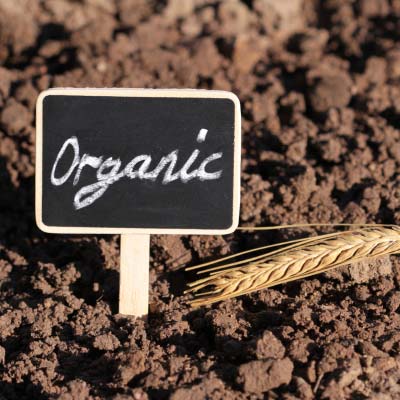 The Process of Obtaining EU Organic Certification