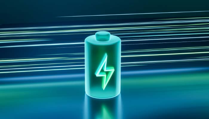  Training and Capacity Building