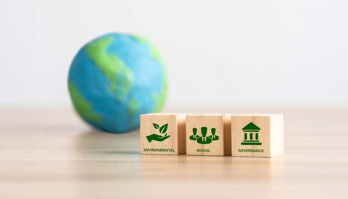 Sustainability Strategy Framework